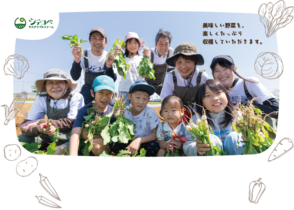 体験農園 シテコベ サステナブルファーム