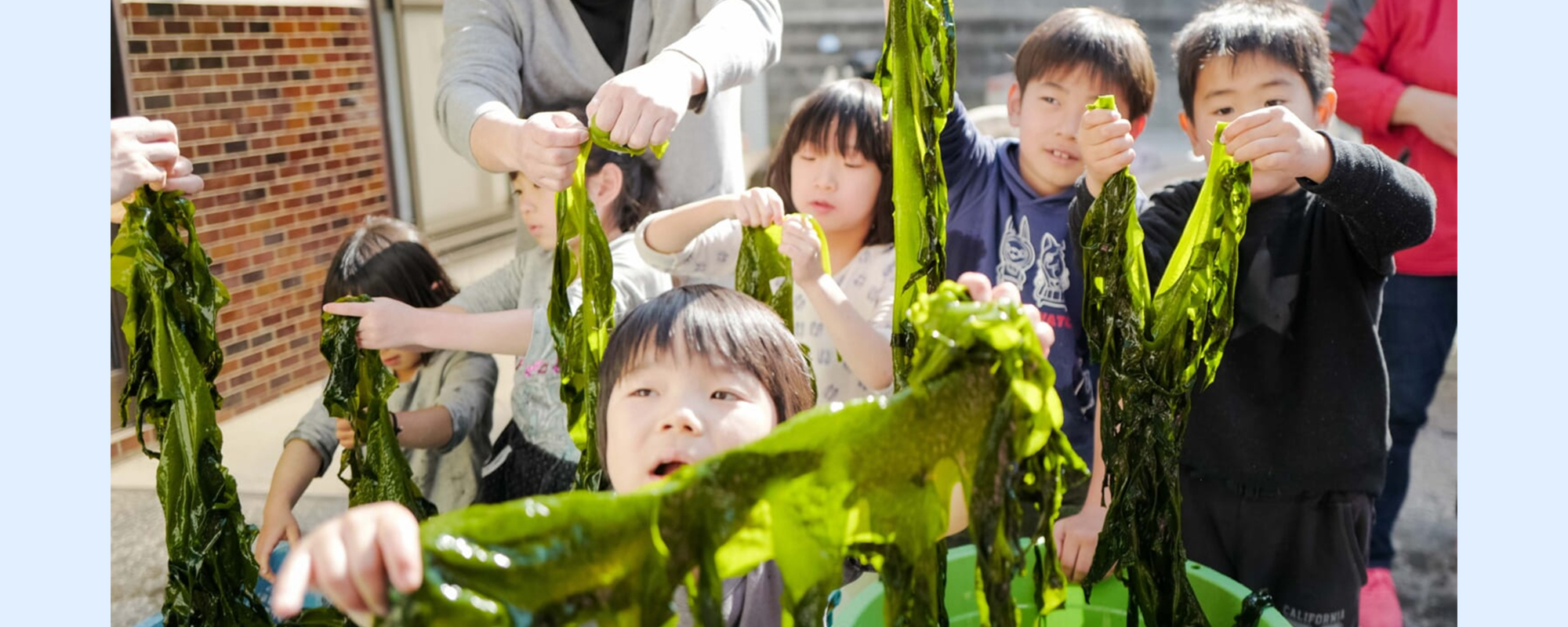 産地直送オンラインショップ