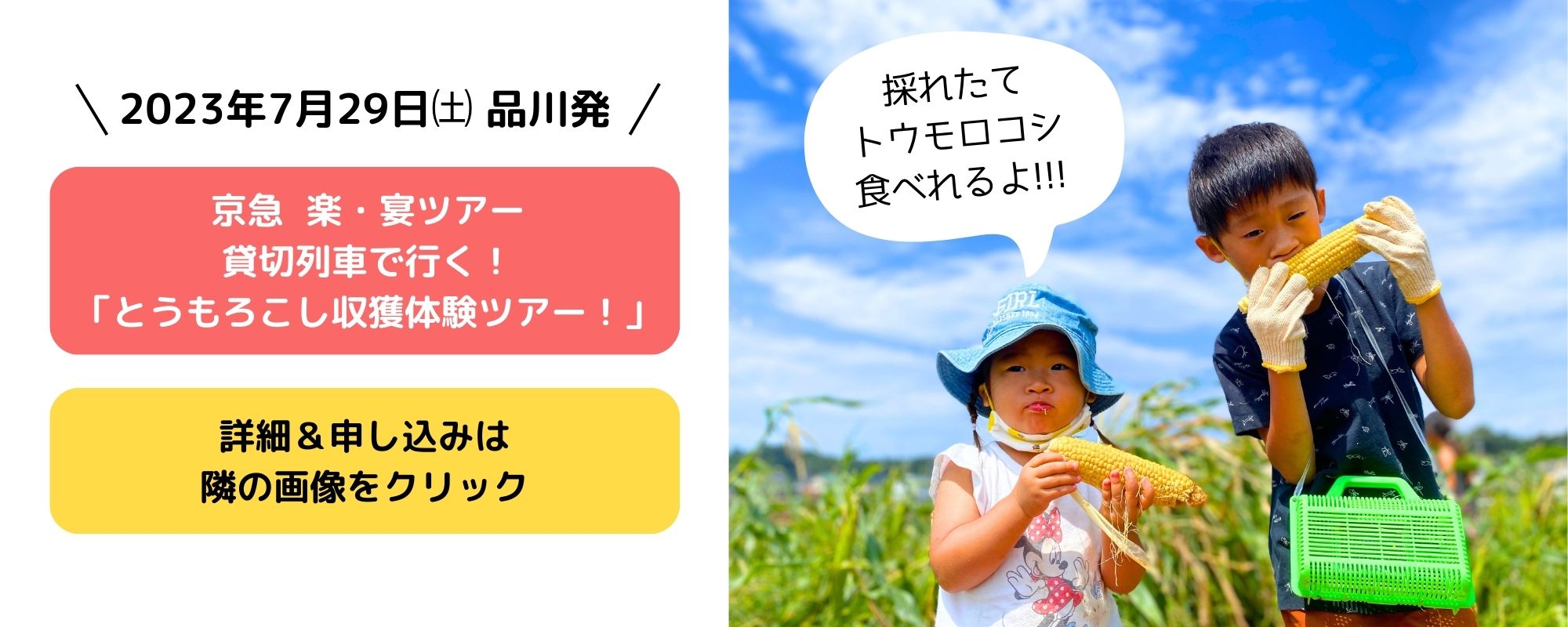 京急 楽・宴ツアー≪第19弾≫貸切列車で行く！「とうもろこし収獲体験ツアー！」