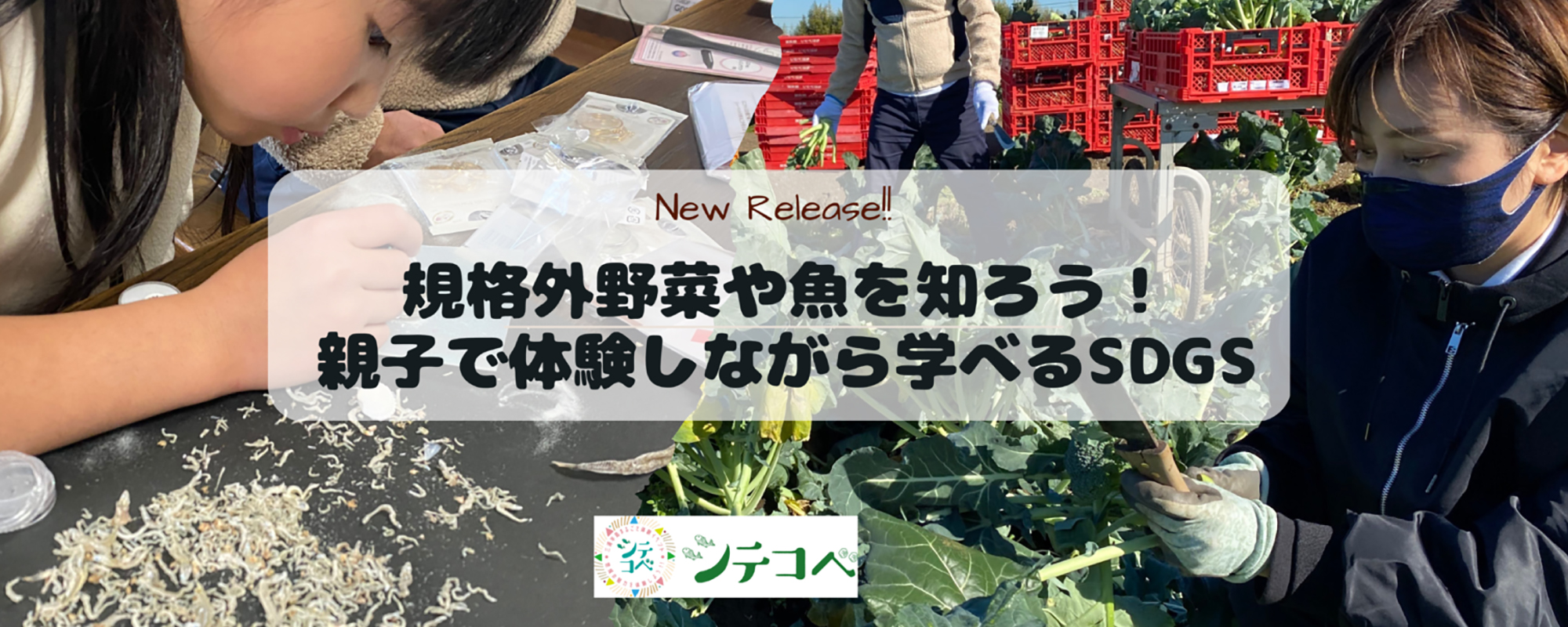 規格外野菜や魚を知ろう！親子で体験しながら学べるSDGs