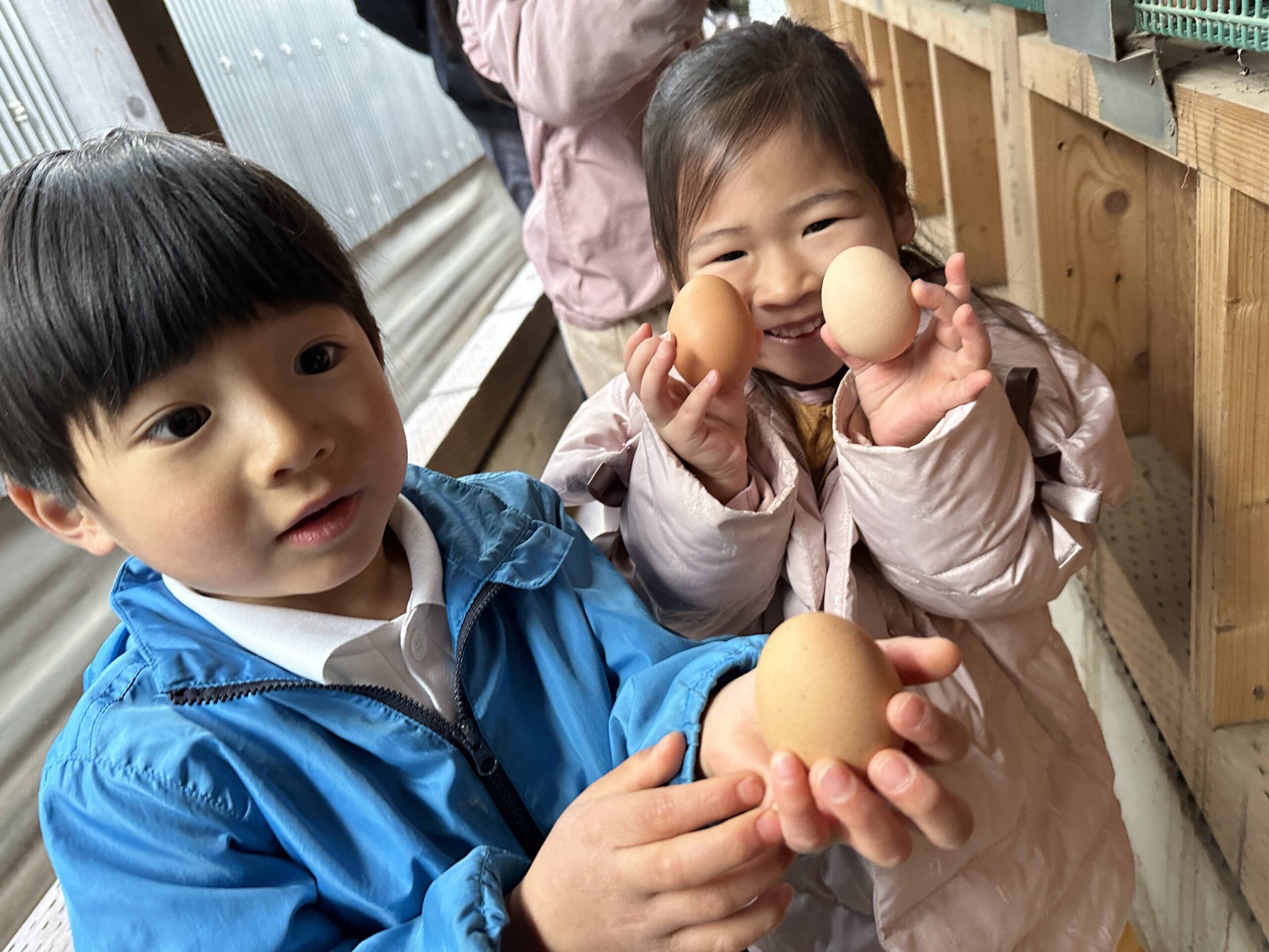 6/30(日)平飼いブランド卵”姫様のたまご”を五感で楽しむ！養鶏体験お 